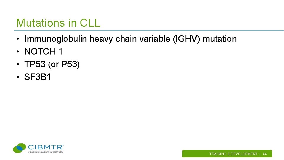 Mutations in CLL • • Immunoglobulin heavy chain variable (IGHV) mutation NOTCH 1 TP