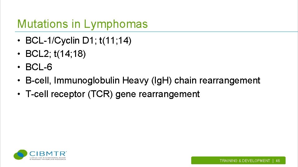 Mutations in Lymphomas • • • BCL-1/Cyclin D 1; t(11; 14) BCL 2; t(14;