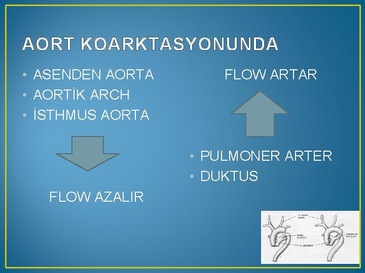 AORT KOARKTASYONUNDA • ASENDEN AORTA • AORTİK ARCH • İSTHMUS AORTA FLOW ARTAR •