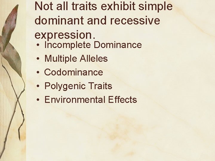 Not all traits exhibit simple dominant and recessive expression. • • • Incomplete Dominance