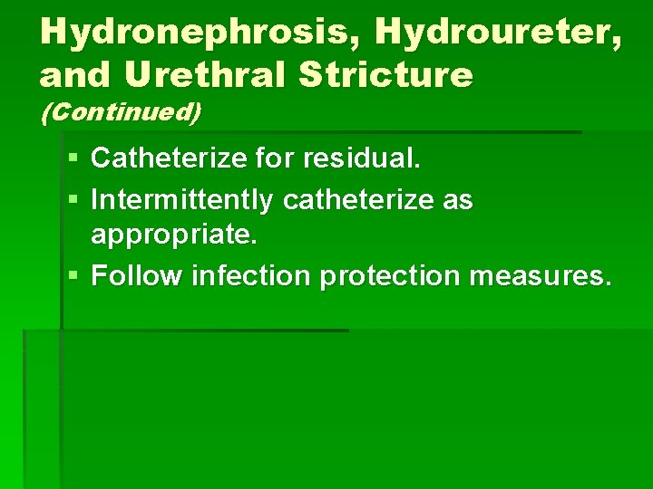 Hydronephrosis, Hydroureter, and Urethral Stricture (Continued) § Catheterize for residual. § Intermittently catheterize as