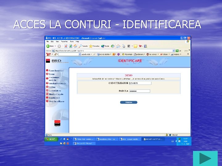 ACCES LA CONTURI - IDENTIFICAREA 