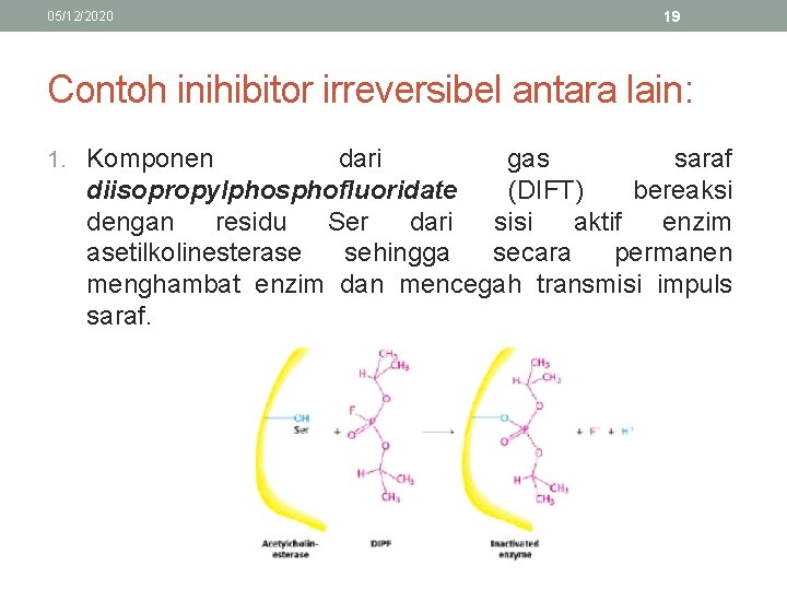05/12/2020 19 Contoh inihibitor irreversibel antara lain: 1. Komponen dari gas saraf diisopropylphosphofluoridate (DIFT)