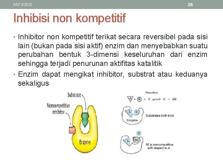 05/12/2020 26 Inhibisi non kompetitif • Inhibitor non kompetitif terikat secara reversibel pada sisi