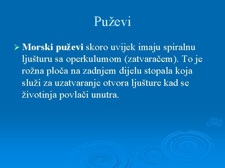 Puževi Ø Morski puževi skoro uvijek imaju spiralnu ljušturu sa operkulumom (zatvaračem). To je