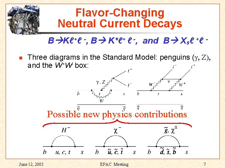 Flavor-Changing Neutral Current Decays B Kℓ+ℓ -, B K*ℓ+ ℓ -, and B Xsℓ
