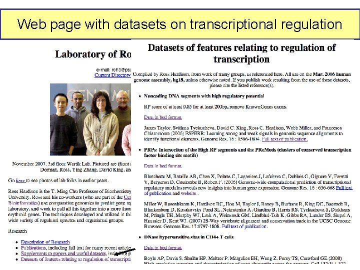 Web page with datasets on transcriptional regulation 