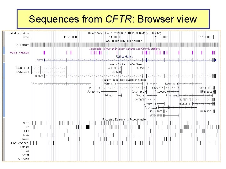 Sequences from CFTR: Browser view 