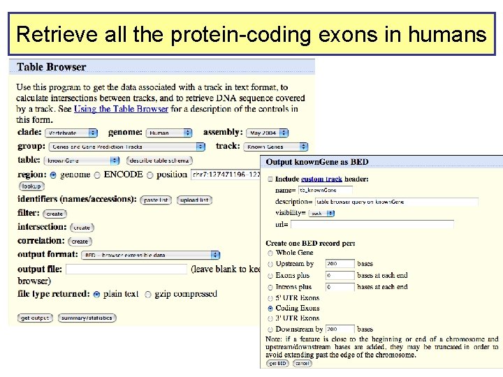 Retrieve all the protein-coding exons in humans 