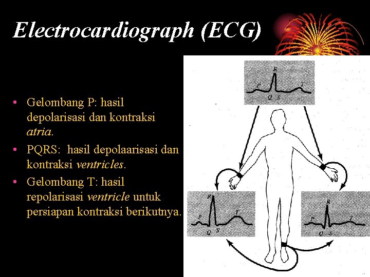 Electrocardiograph (ECG) • Gelombang P: hasil depolarisasi dan kontraksi atria. • PQRS: hasil depolaarisasi