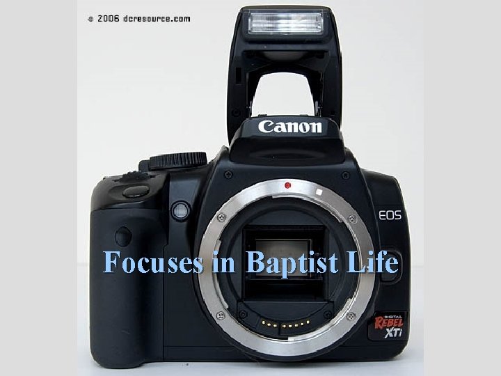 Focuses in Baptist Life 