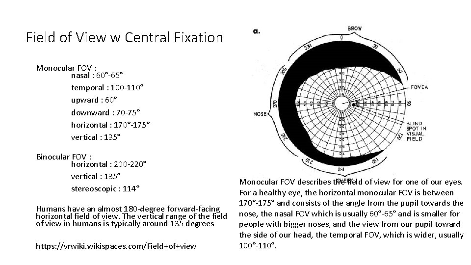 Field of View w Central Fixation Monocular FOV : nasal : 60°-65° temporal :