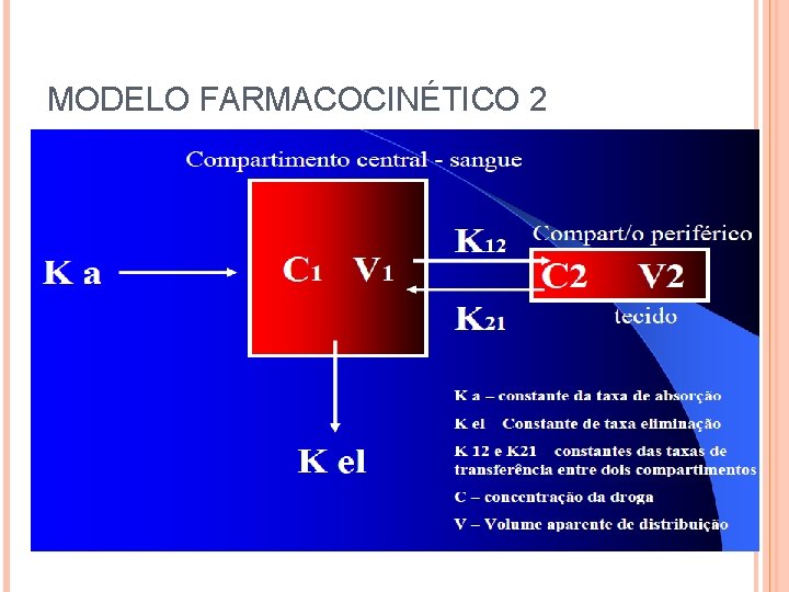 MODELO FARMACOCINÉTICO 2 