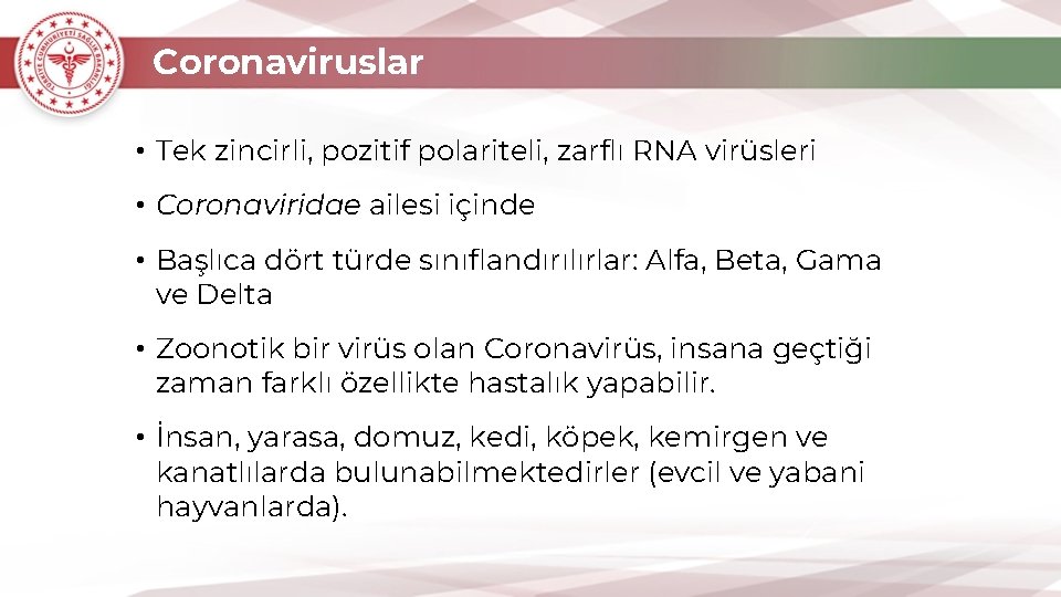 Coronaviruslar • Tek zincirli, pozitif polariteli, zarflı RNA virüsleri • Coronaviridae ailesi içinde •