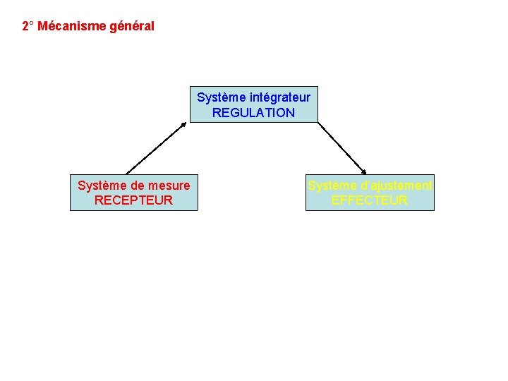2° Mécanisme général Système intégrateur REGULATION Système de mesure RECEPTEUR Système d’ajustement EFFECTEUR 