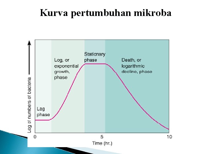 Kurva pertumbuhan mikroba 