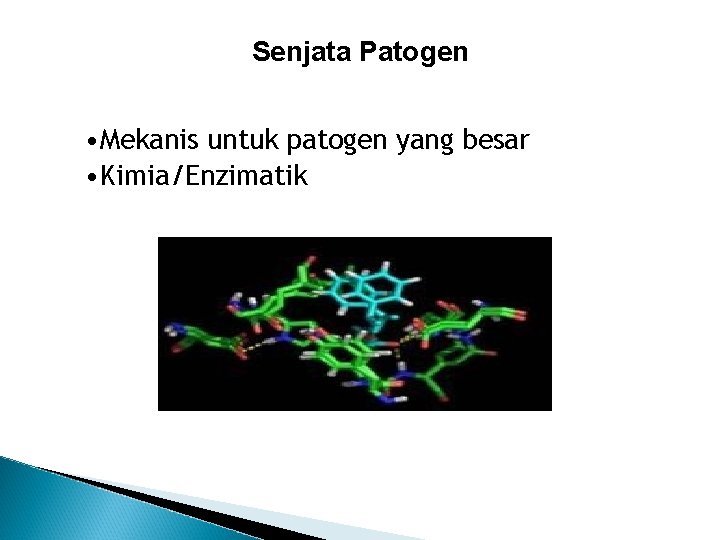 Senjata Patogen • Mekanis untuk patogen yang besar • Kimia/Enzimatik 