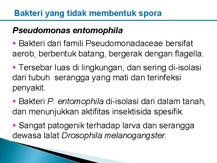 Bakteri yang tidak membentuk spora Pseudomonas entomophila § Bakteri dari famili Pseudomonadaceae bersifat aerob,