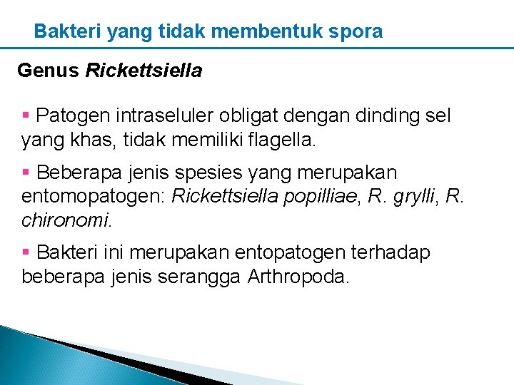 Bakteri yang tidak membentuk spora Genus Rickettsiella § Patogen intraseluler obligat dengan dinding sel