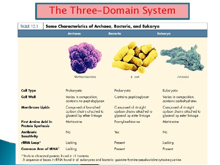 The Three-Domain System 