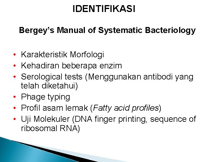 IDENTIFIKASI Bergey’s Manual of Systematic Bacteriology • Karakteristik Morfologi • Kehadiran beberapa enzim •