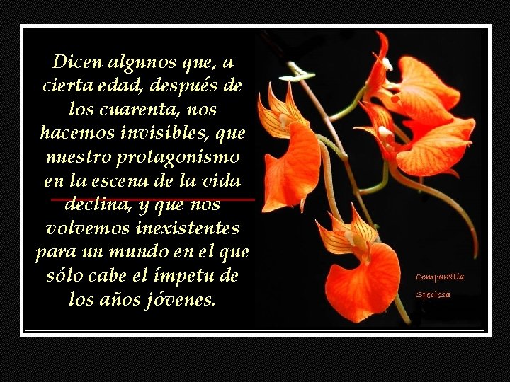 Dicen algunos que, a cierta edad, después de los cuarenta, nos hacemos invisibles, que