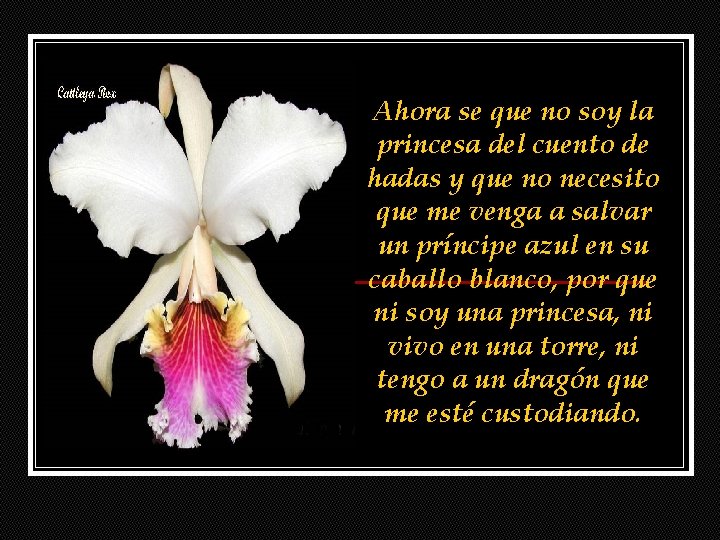 Ahora se que no soy la princesa del cuento de hadas y que no