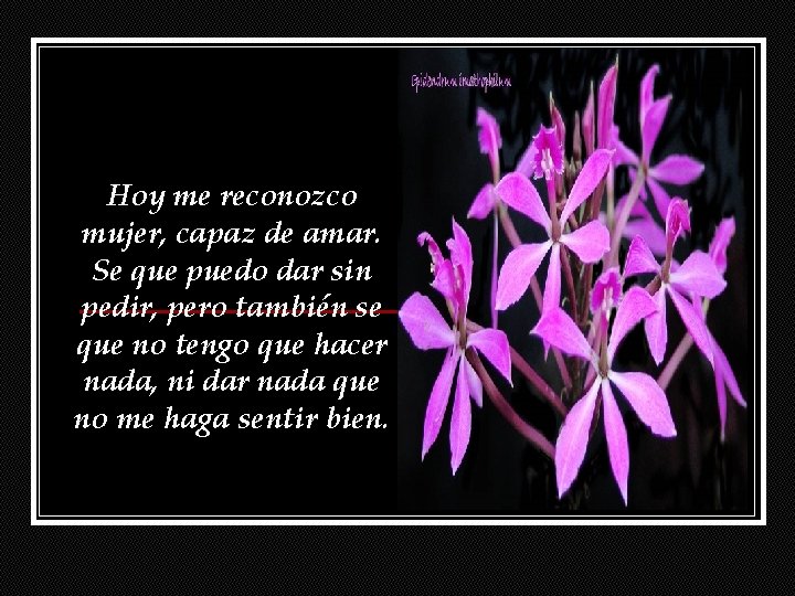 Hoy me reconozco mujer, capaz de amar. Se que puedo dar sin pedir, pero