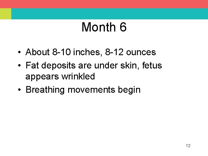 Month 6 • About 8 -10 inches, 8 -12 ounces • Fat deposits are