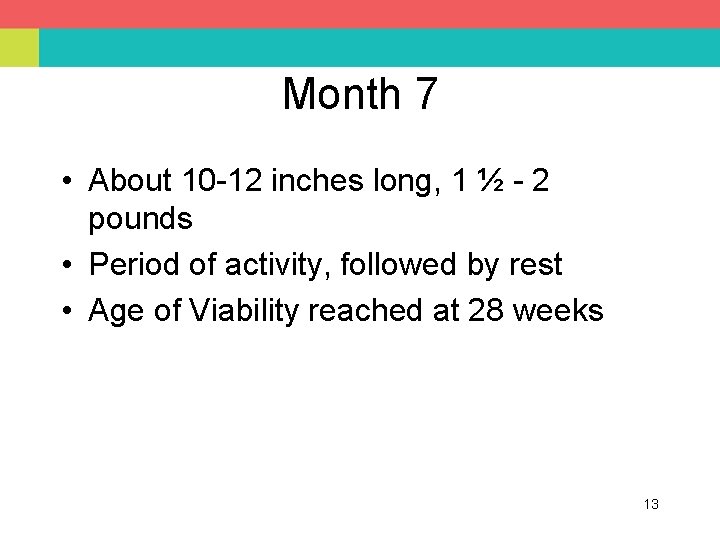 Month 7 • About 10 -12 inches long, 1 ½ - 2 pounds •