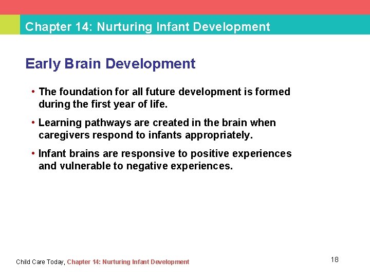 Chapter 14: Nurturing Infant Development Early Brain Development • The foundation for all future