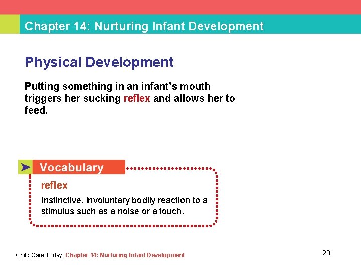 Chapter 14: Nurturing Infant Development Physical Development Putting something in an infant’s mouth triggers