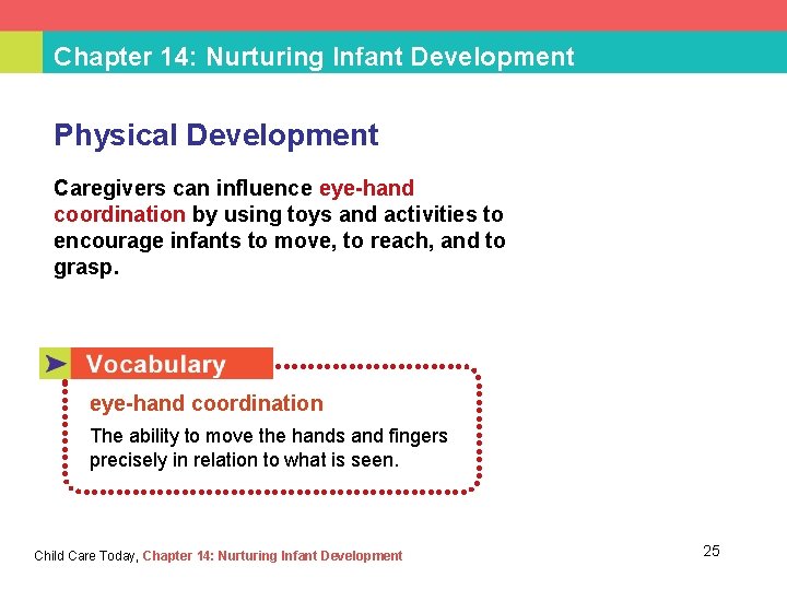 Chapter 14: Nurturing Infant Development Physical Development Caregivers can influence eye-hand coordination by using
