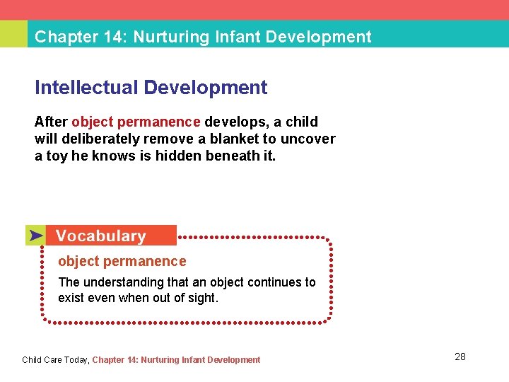 Chapter 14: Nurturing Infant Development Intellectual Development After object permanence develops, a child will