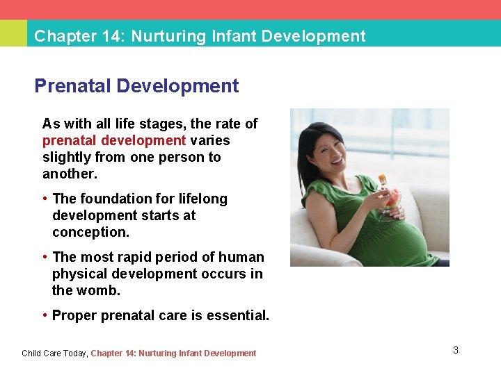 Chapter 14: Nurturing Infant Development Prenatal Development As with all life stages, the rate