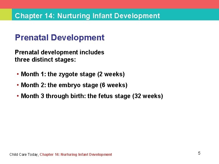 Chapter 14: Nurturing Infant Development Prenatal development includes three distinct stages: • Month 1: