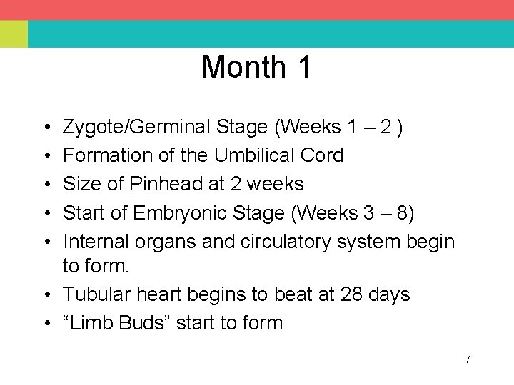 Month 1 • • • Zygote/Germinal Stage (Weeks 1 – 2 ) Formation of