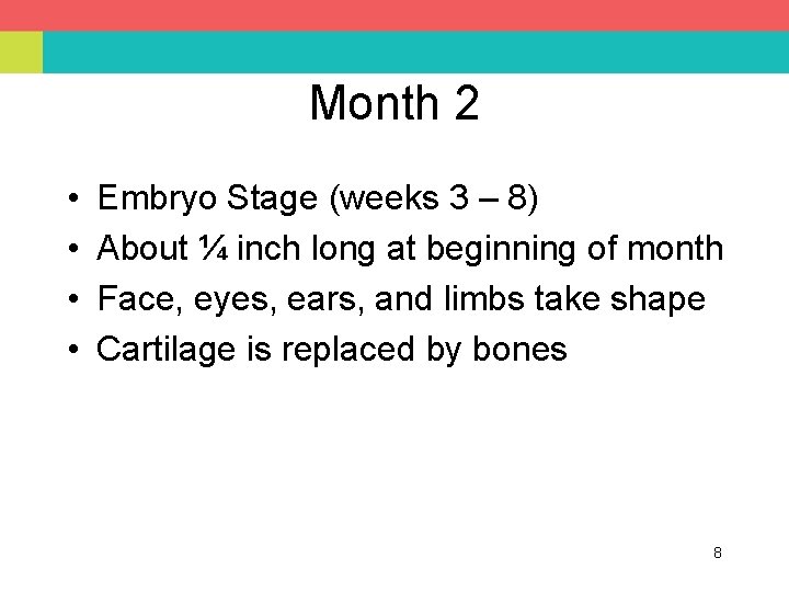 Month 2 • • Embryo Stage (weeks 3 – 8) About ¼ inch long
