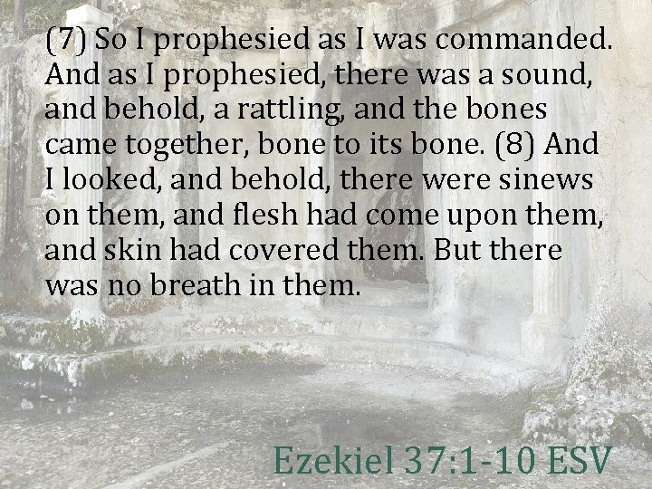 (7) So I prophesied as I was commanded. And as I prophesied, there was
