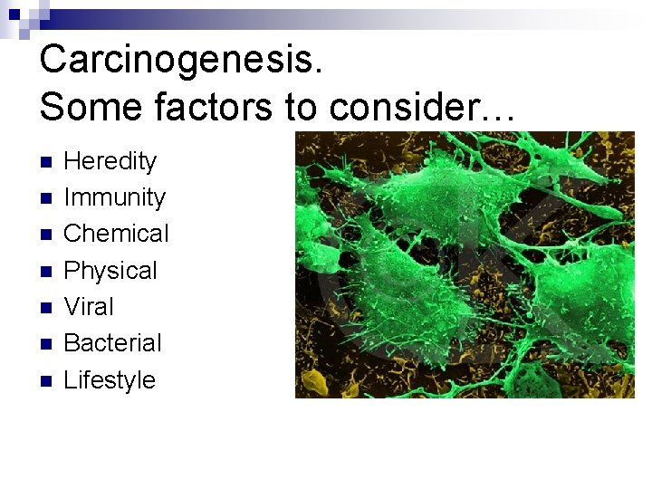 Carcinogenesis. Some factors to consider… n n n n Heredity Immunity Chemical Physical Viral