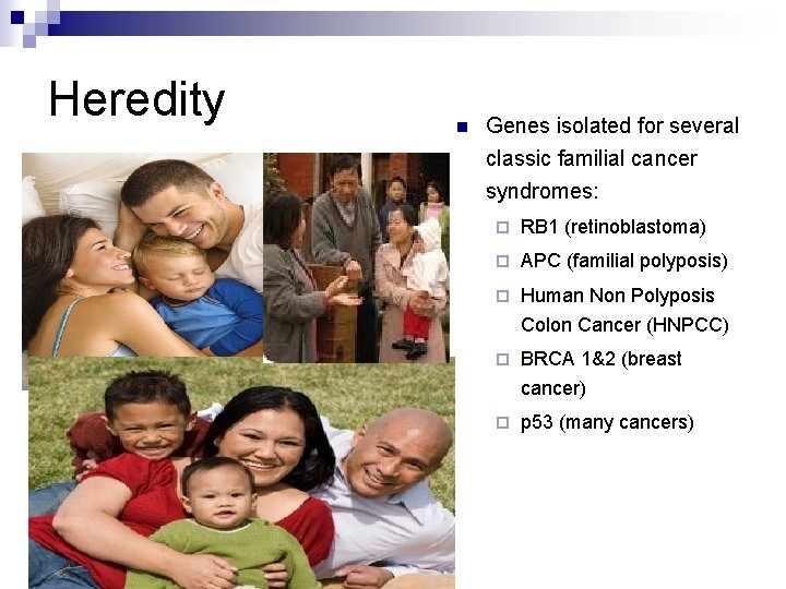 Heredity n Genes isolated for several classic familial cancer syndromes: ¨ RB 1 (retinoblastoma)