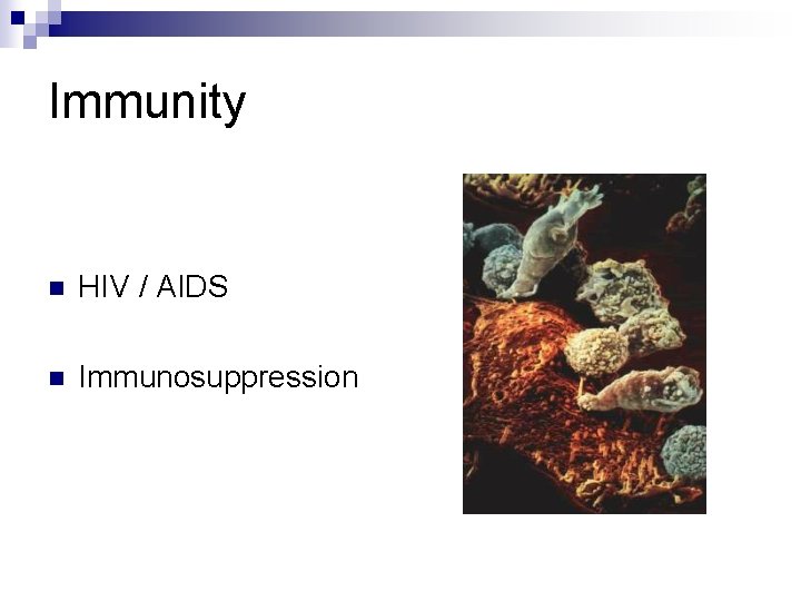 Immunity n HIV / AIDS n Immunosuppression 