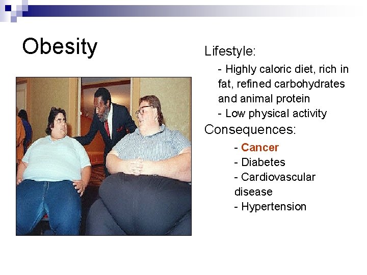 Obesity Lifestyle: - Highly caloric diet, rich in fat, refined carbohydrates and animal protein
