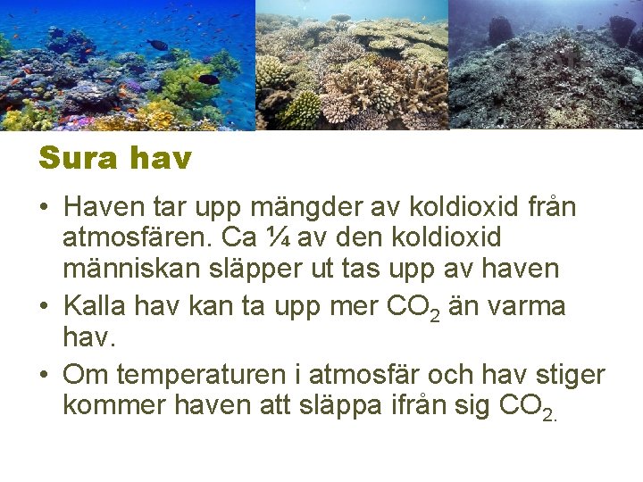 Sura hav • Haven tar upp mängder av koldioxid från atmosfären. Ca ¼ av