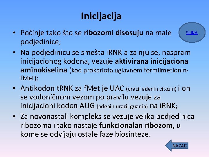 Inicija • Počinje tako što se ribozomi disosuju na male SLIKA podjedinice; • Na