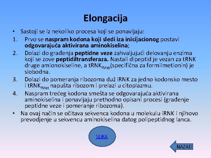 Elongacija • Sastoji se iz nekoliko procesa koji se ponavljaju: 1. Prvo se naspram