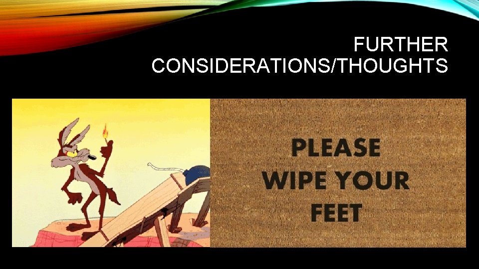 FURTHER CONSIDERATIONS/THOUGHTS 