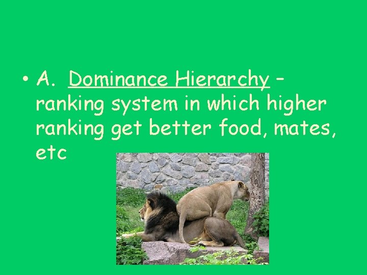  • A. Dominance Hierarchy – ranking system in which higher ranking get better