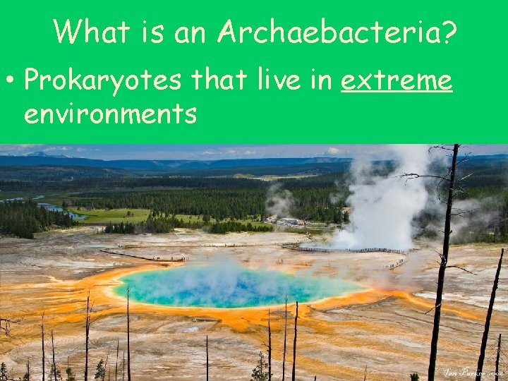 What is an Archaebacteria? • Prokaryotes that live in extreme environments 