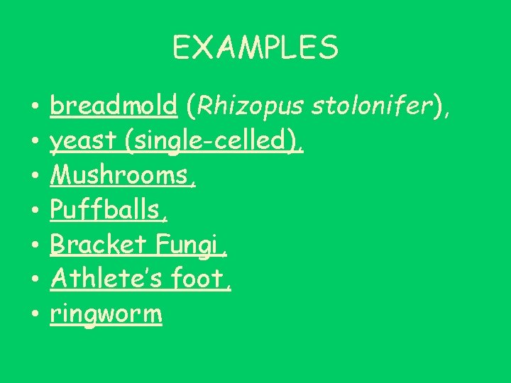 EXAMPLES • • breadmold (Rhizopus stolonifer), yeast (single-celled), Mushrooms, Puffballs, Bracket Fungi, Athlete’s foot,